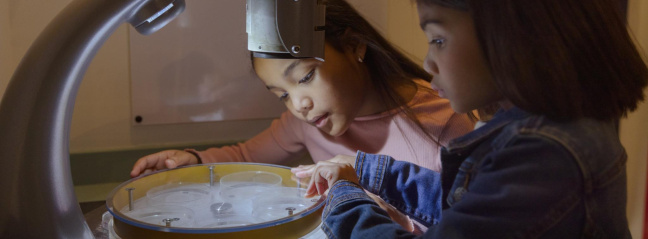Children viewing a museum exhibit